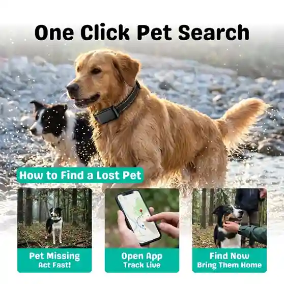 Furthrive GPS supplement