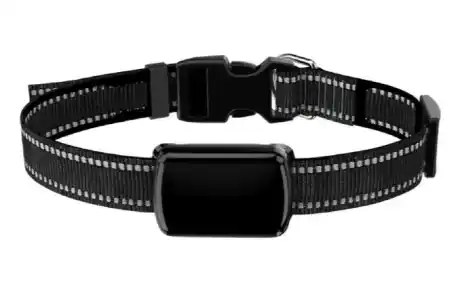 Furthrive GPS Buy