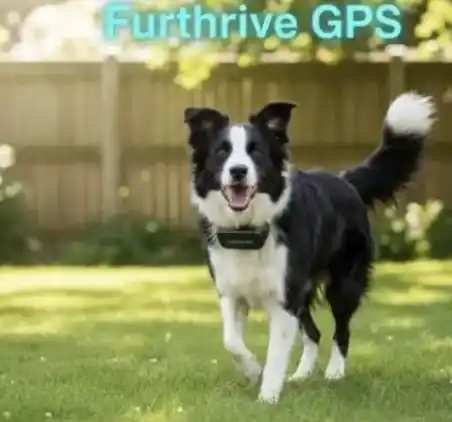 Furthrive GPS Reviews